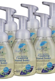 Earthview Foaming Hand Soap 6 Pk/ 8 oz (48 Fl Oz)